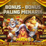 pakde4d-banner3